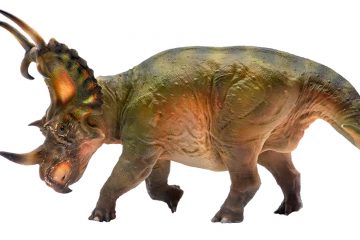 pnso dinosaur models