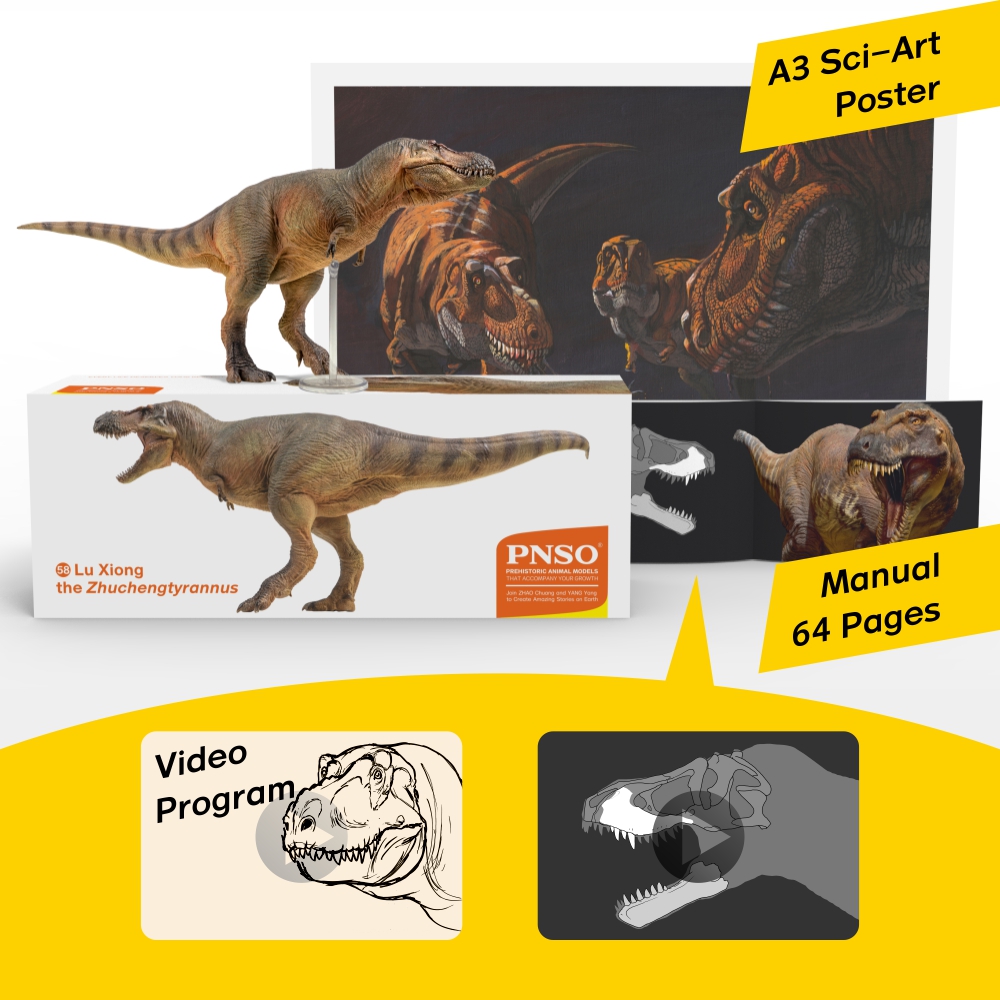 01 The Head of T. rex  Join ZHAO Chuang in Drawing Wilson the  Tyrannosaurus rex 