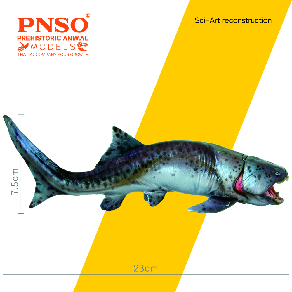 Zaha The Dunkleosteus Scientific Art Model From PNSO Prehistoric Animal 