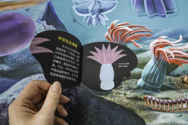 super-lift-the-flap-ancient-marine-animals-officially