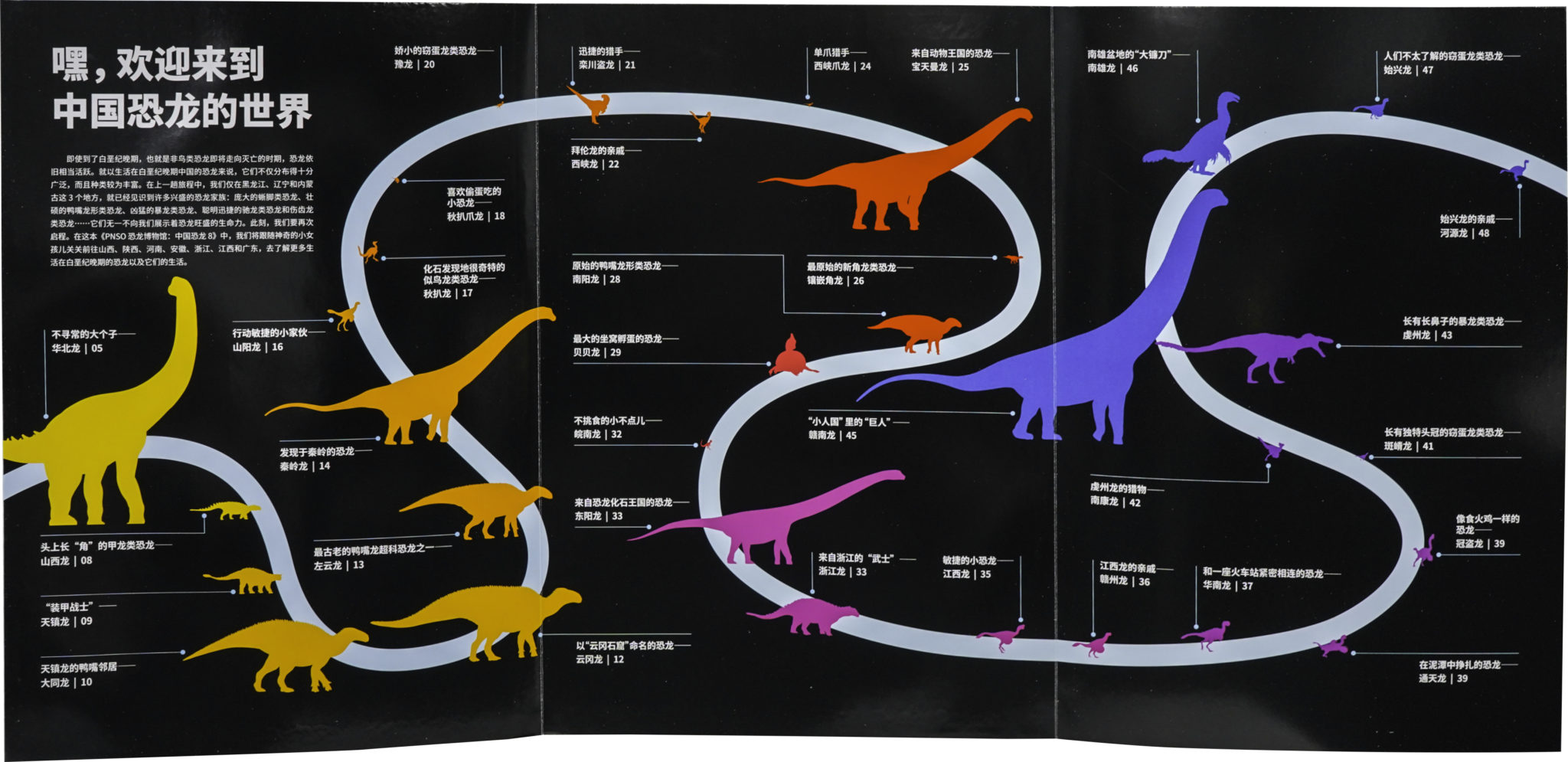 The Chinese Dinosaurs Volumes 5 8 Officially Published In Chinese PNSO